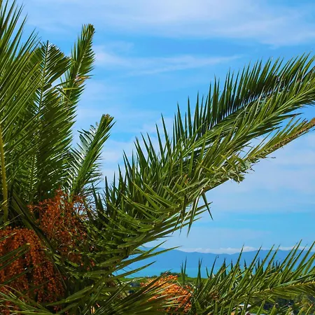 Hotel Argentario Osa 3*