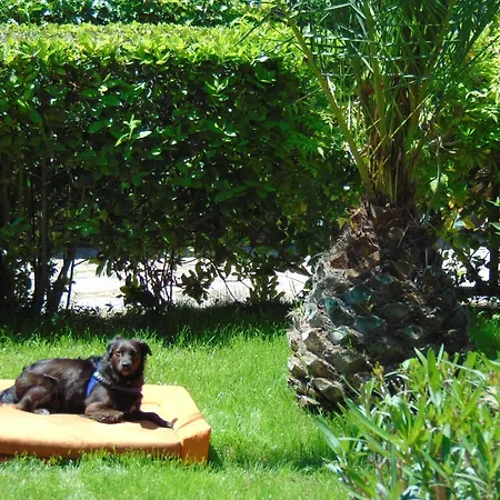 Argentario Osa Hotel