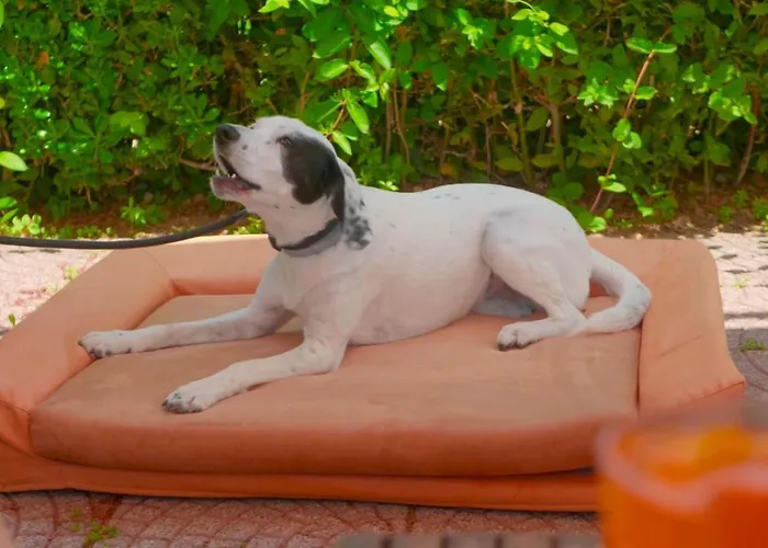 Argentario Osa Hotel 3*